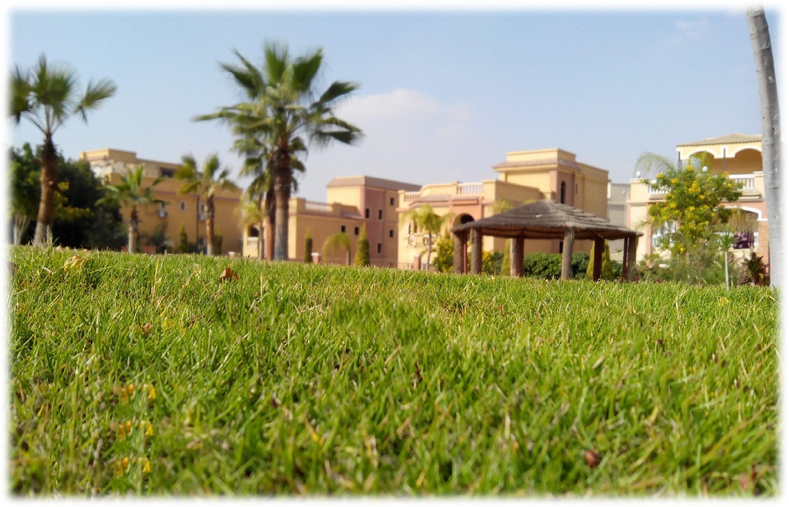 Fleur de Ville Compound landscaping project